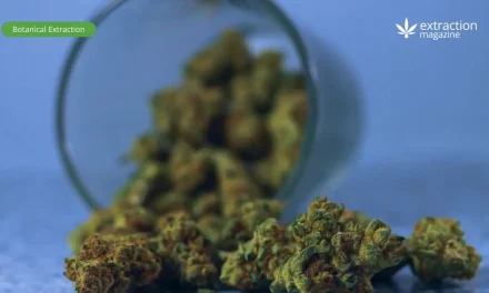 THC Derivatives and Their Creation Process