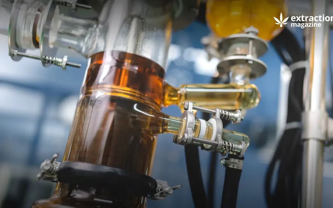 Using enzyme to improve efficiency of mechanical expressed essential oils