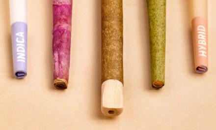 Visit The Cones Factory at Grow Up Toronto – Custom Pre-Rolls. Fast Turnarounds. Global Scale.