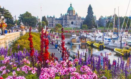 Grow Up Conference, Expo and Awards bringing cannabis conference and expo to Victoria in 2021