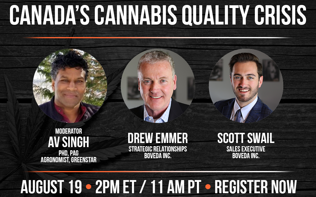 Vol. 9: Canada’s Cannabis Quality Crisis