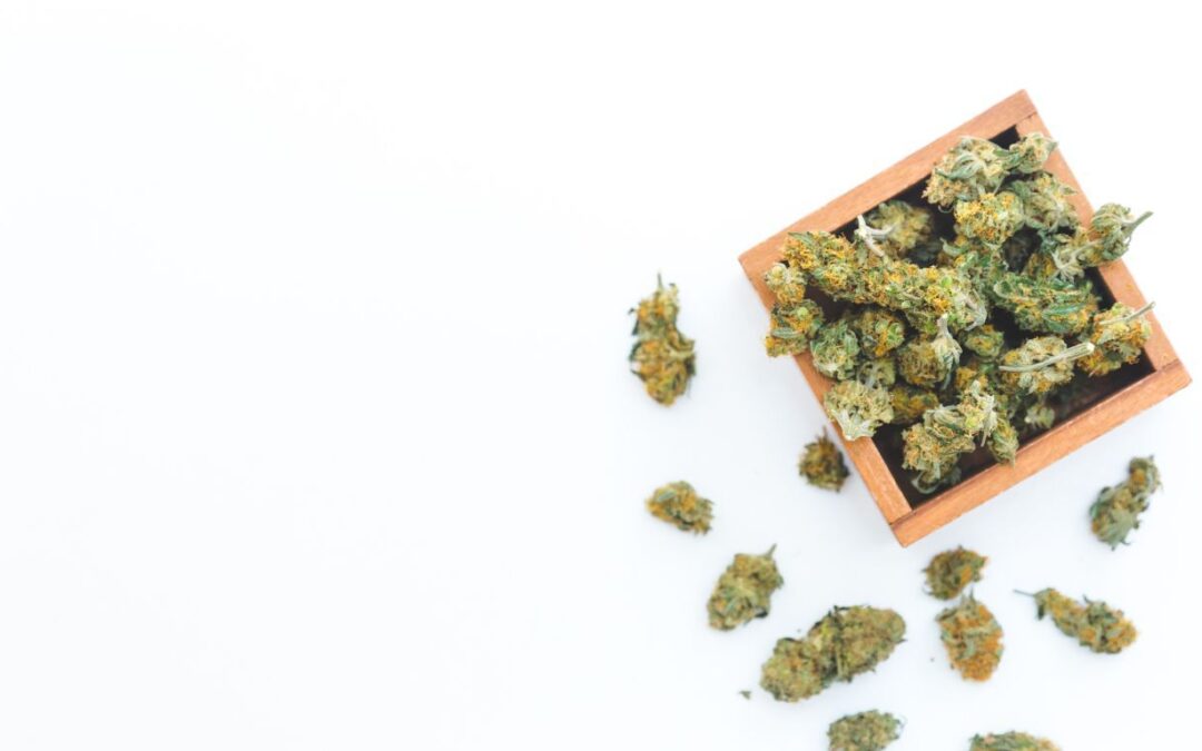 Week in Weed – January 13, 2024