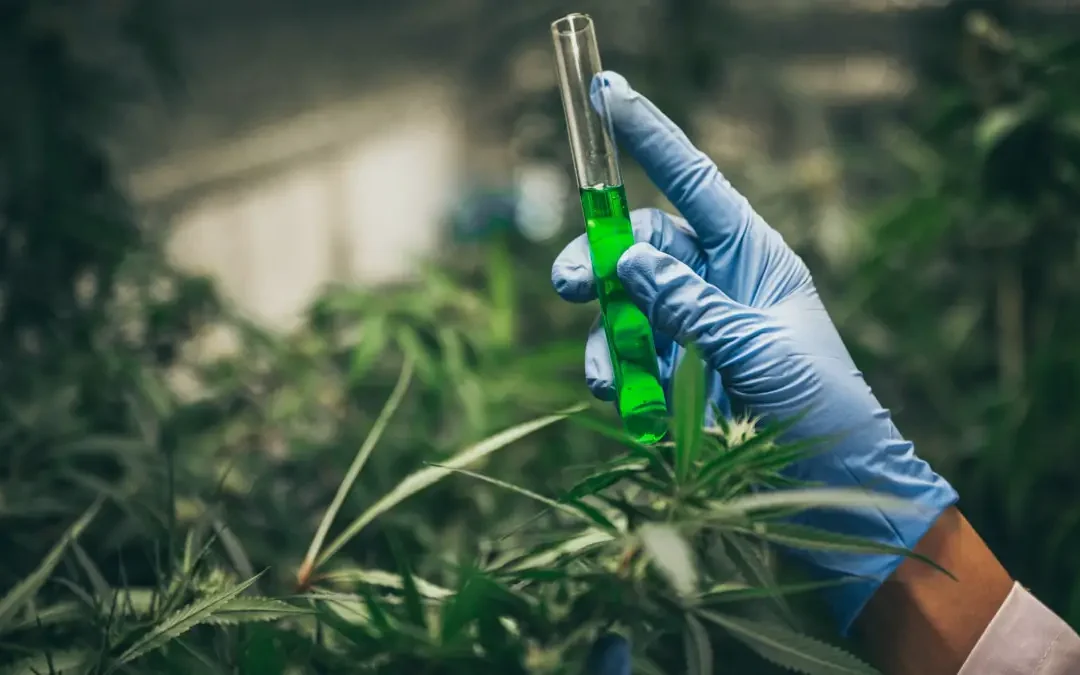 What do Subcritical and Supercritical Refer to?