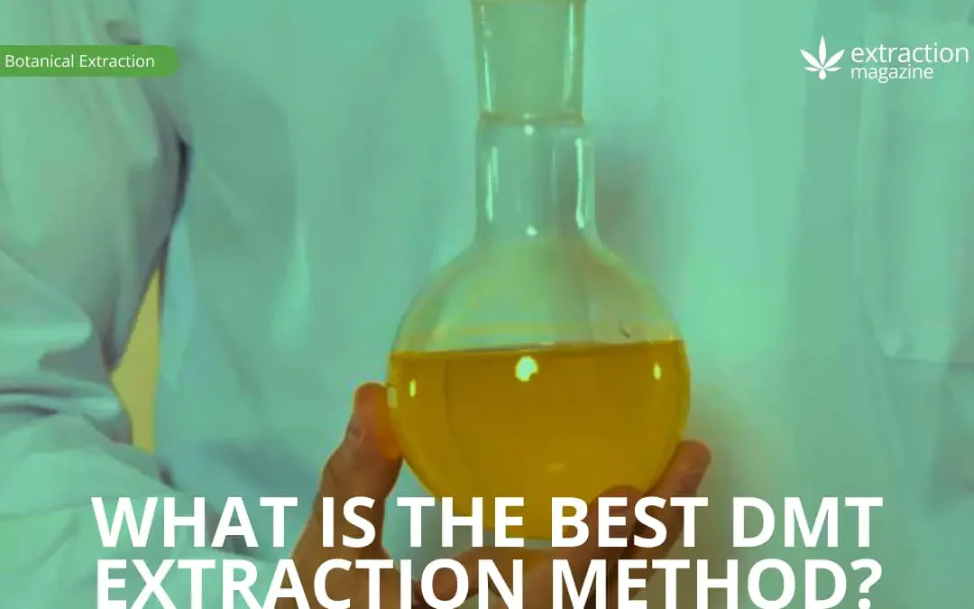 What Is The Best DMT Extraction Method?