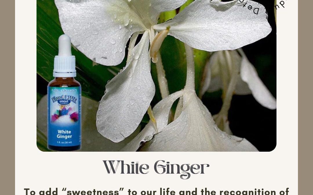 Adding “sweetness” to our Life